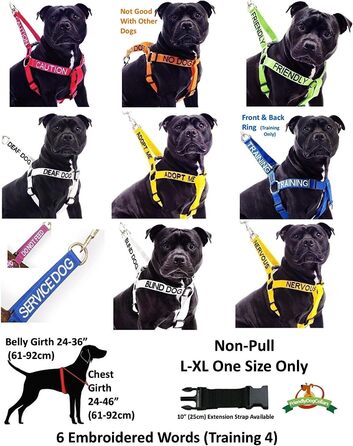 Шлея для собак 'KEINE HUNDE' L-XL, помаранчева, анти-тяга, попереджувальна, не для спілкування з іншими собаками