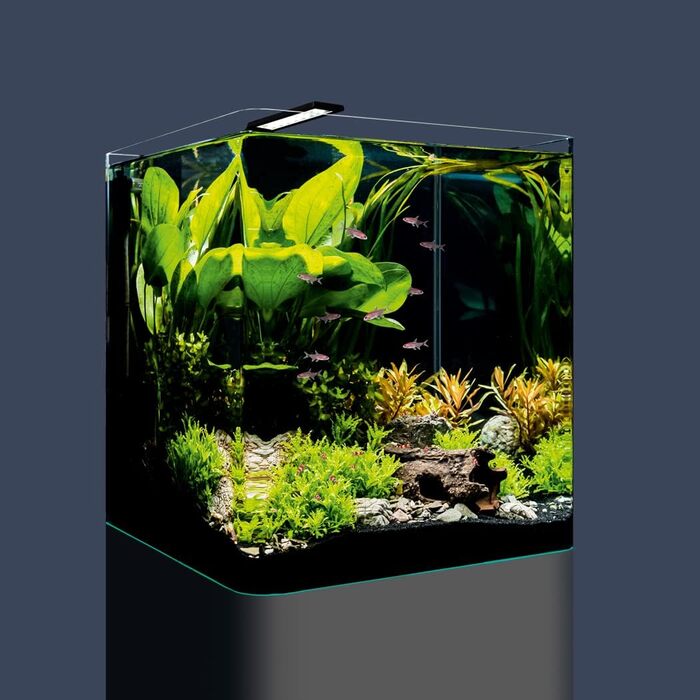 Nano-акваріум Dennerle Cube Basic 60 л із заокругленим склом