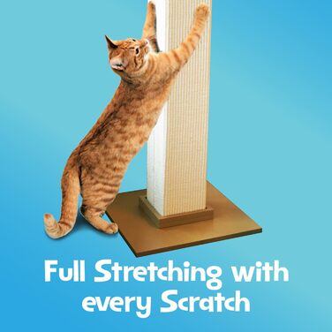 Кігтеточка SmartCat
