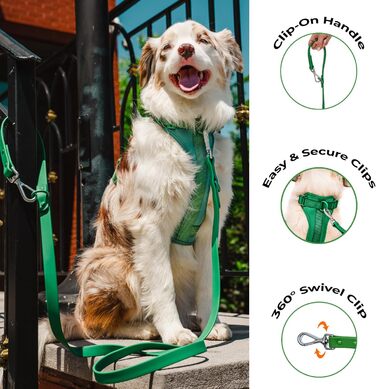 Шлейка для собак Easy Walk BearBone, що запобігає витягуванню, зелена