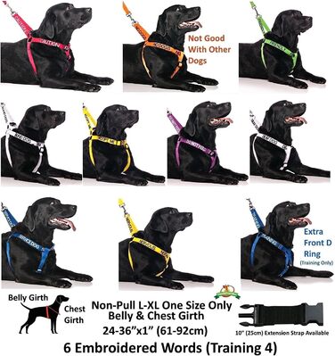 Шлея для собак 'KEINE HUNDE' L-XL, помаранчева, анти-тяга, попереджувальна, не для спілкування з іншими собаками