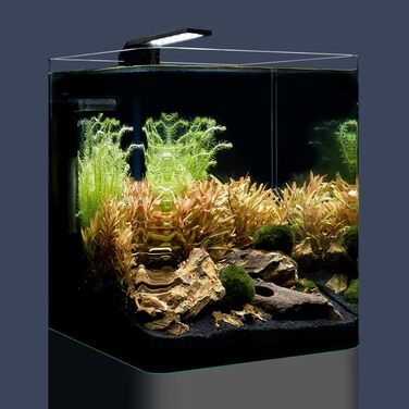 Nano-акваріум Dennerle Cube Basic 20 л з округлим склом