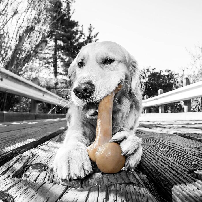Жувальна кістка для собак Pet Qwerks BarkBone, нейлонова, для агресивних гризунів, зі смаком бекону, 19,7 см