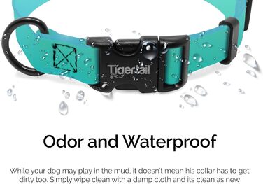 Водонепроникний нашийник для собак Tiger Tail Urban Nomad, не вбирає запахи, зносостійкий, матовий, легкий, високоякісний нейлон із покриттям, для великих, середніх та малих собак, синьо-зелений, розмір XS