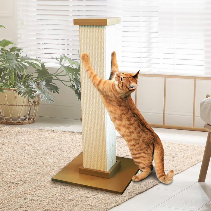 Кігтеточка SmartCat