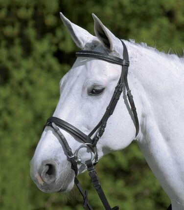 Вуздечка Waldhausen Diamond фуксія/мультиколор, для коней Warmblood