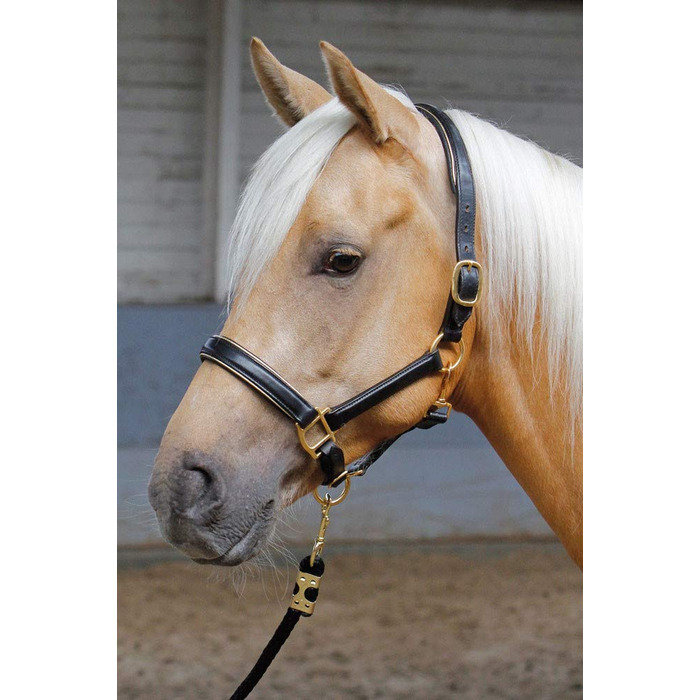 Шкіряний недоуздок Harry's Horse, чорний з окантовкою, срібна фурнітура, розмір Full