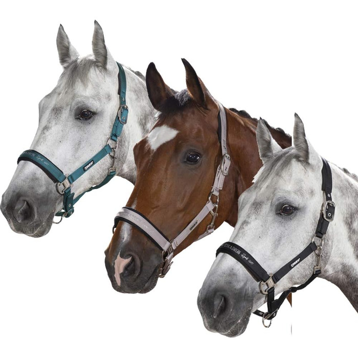 Кінська недоуздка Eskadron Double Pin, X-Warmblood, бірюзова/сіра/чорна
