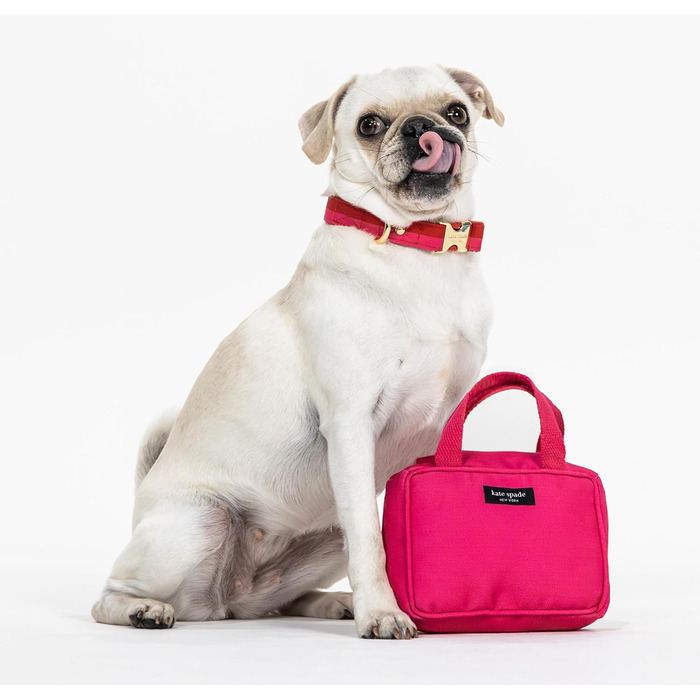 Нашийник для собак Kate Spade NY, золота пряжка, 39-61 см