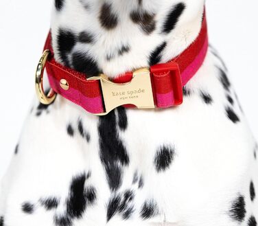 Нашийник для собак Kate Spade NY, золота пряжка, 39-61 см