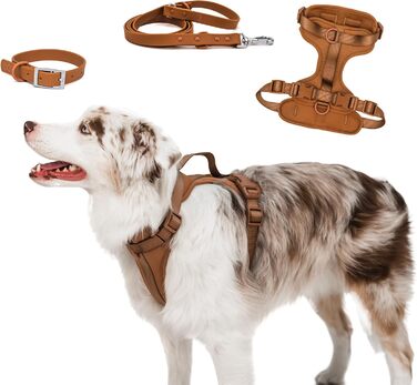 Шлейка для собак Easy Walk BearBone, що запобігає витягуванню, зелена