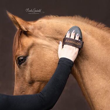 Щітка Animalon CareFlex для догляду за шерстю коня, натуральна, середньої жорсткості, з гнучкою основою і свинячою щетиною, зручний ремінець на липучці