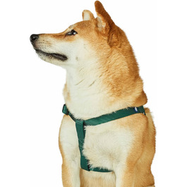 Світловідбиваючий повідець для собаки Blueberry Pet, темно-зелений, S