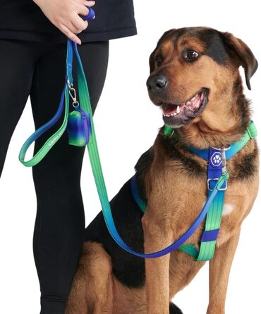 Велика шлейка для собак Spark Paws, міцна, ретро 90-х, L
