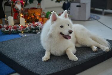 Лежак для собаки RAIKOU з плюшем, що миється, ортопедичний