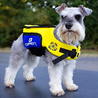Неопреновий рятувальний жилет Obrien Dog, в асортименті Розмірів