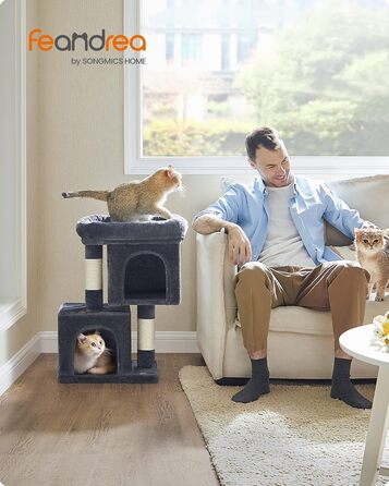 См, Cat House, Smoky Grey, 67