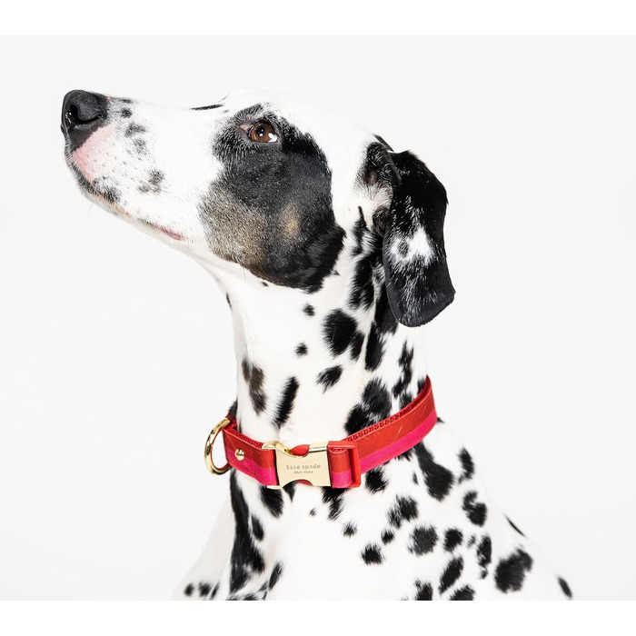 Нашийник для собак Kate Spade NY, золота пряжка, 39-61 см