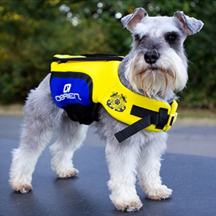 Неопреновий рятувальний жилет Obrien Dog, в асортименті Розмірів