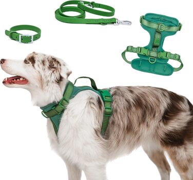 Шлейка для собак Easy Walk BearBone, що запобігає витягуванню, зелена