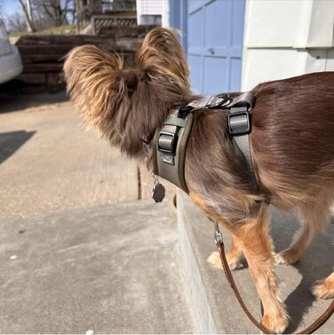 Шлея для собак PETs R US, нейлонова, дизайн під зміїну шкіру, колір хакі, розмір S, регульована, дихаюча, легка, не тягне, для малих, середніх і великих порід