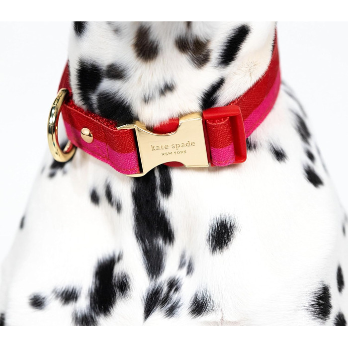 Нашийник для собак Kate Spade NY, золота пряжка, 39-61 см