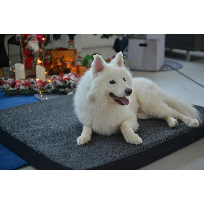 Лежак для собаки RAIKOU з плюшем, що миється, ортопедичний