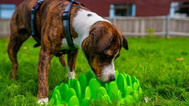 Інтерактивна повільна миска для собак GREEN, антиковтальна, для маленьких порід, стимулює ментально, легка у догляді