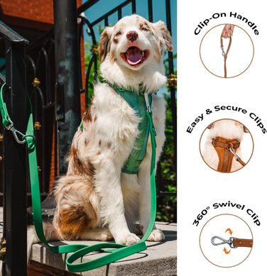 Шлейка для собак Easy Walk BearBone, що запобігає витягуванню, зелена