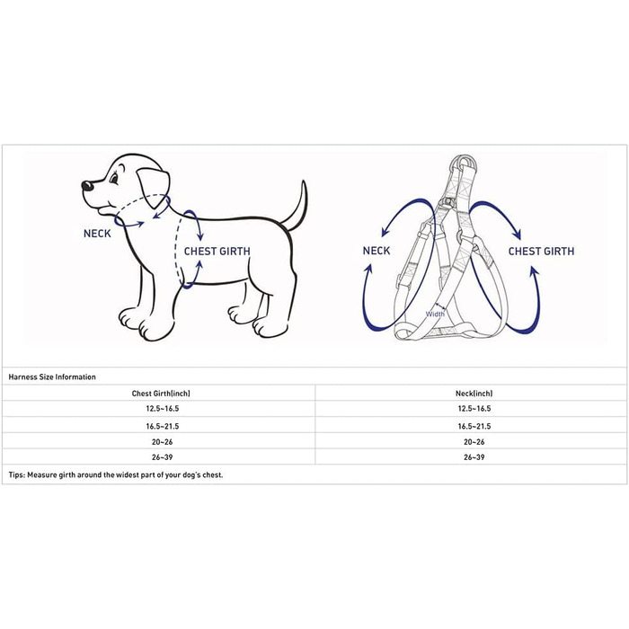 Світловідбиваючий повідець для собаки Blueberry Pet, темно-зелений, S