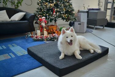 Лежак для собаки RAIKOU з плюшем, що миється, ортопедичний