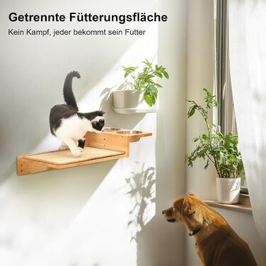 Комплект скеледром FUKUMARU Cat сходи, станція годування
