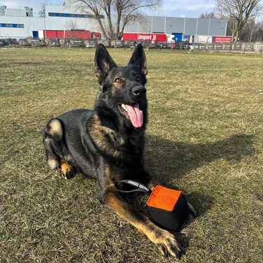 Іграшка для собак Dingo Gear, кусалка з ручкою, нейлкот, 10x10 см, куб, чорна/помаранчева, для тренувань і ігор