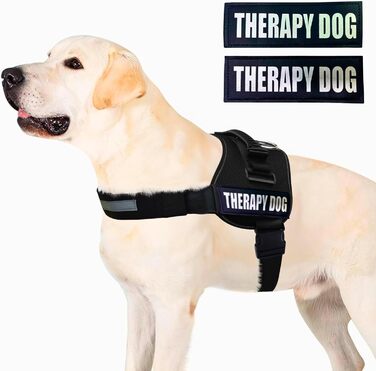 Шлейка для собак Albcorp Reflective Therapy, червона, М