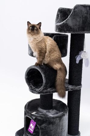 См, Бежевий/Чорний, 125