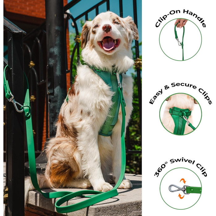 Шлейка для собак Easy Walk BearBone, що запобігає витягуванню, зелена