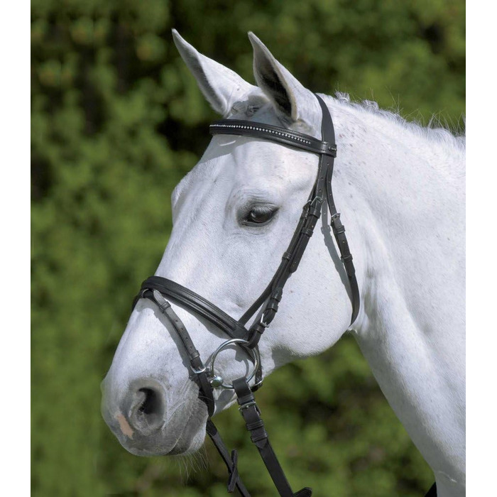 Вуздечка Waldhausen Diamond фуксія/мультиколор, для коней Warmblood