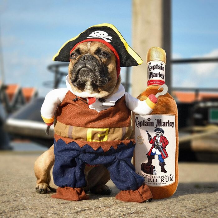 Іграшка для собак Bark Bros у вигляді пляшки лікеру, плюшева, із пискавкою, пародія на алкоголь, для цуценят і дорослих собак, оригінальний подарунок