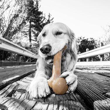 Жувальна кістка для собак Pet Qwerks BarkBone, нейлонова, для агресивних гризунів, зі смаком бекону, 19,7 см