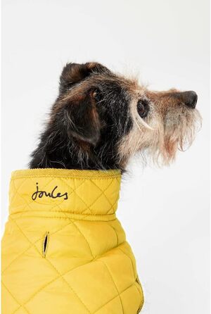 Зимове пальто Rosewood x Joules кольору хакі для великих собак