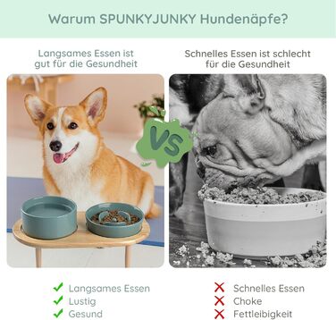 Набір керамічних мисок SPUNKYJUNKY з підставкою (темно-зелений)