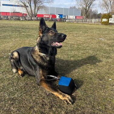 Іграшка для собак Dingo Gear у формі кубика, 10x10 см, з ручкою, з нейлкоту, чорна/синя – для тренувань та ігор