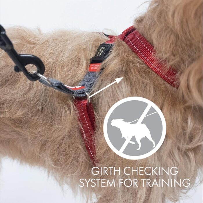 Шлейка для собак EzyDog Crosscheck проти витягування (M, чорна)