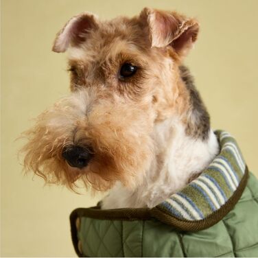 Стьобане пальто Rosewood x Joules Khaki для великих собак