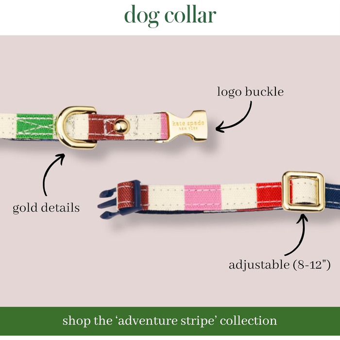 Нашийник для собак Kate Spade NY, золота пряжка, 39-61 см