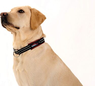 Нашийник для собак ComfortFlex Martingale, світловідбиваючий, м'який