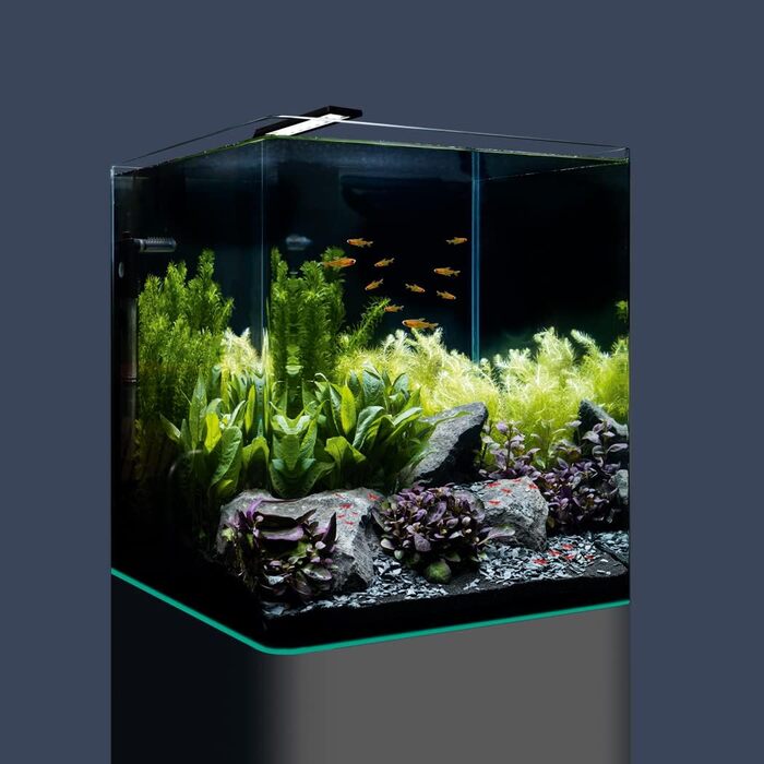 Dennerle Nano Cube Complete — комплектний міні-акваріум 60 л