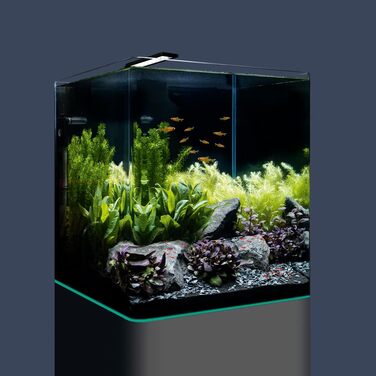Dennerle Nano Cube Complete — комплектний міні-акваріум 60 л