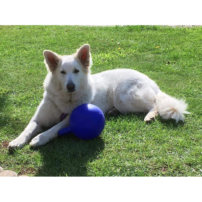 М'яч для собак Jolly Pet Soccer, 20,2 см, синій, рожевий