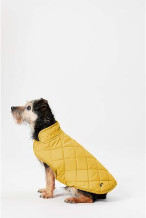 Зимове пальто Rosewood x Joules кольору хакі для великих собак